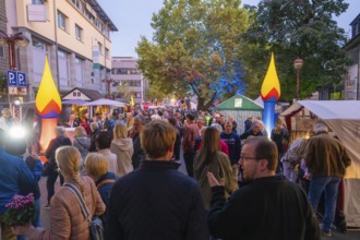 Well-attended street festival with decorations and stalls, people stroll along the street, Fire