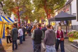 A cosy street festival in the evening with illuminated trees, tents and lots of people, accompanied