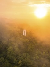 A lone tower rises out of a misty forest, illuminated by a warm sunset, Schönbergturm, Pfullingen,