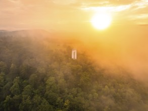 A lone tower rises out of a misty forest, illuminated by a warm sunset, Schönbergturm, Pfullingen,
