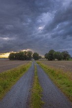 View along a country lane across fields to a dramatic sky in the evening light, Husum, Nienburg,