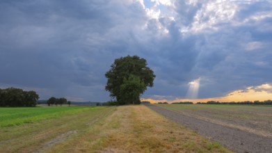View across fields into the sky, revealing rays of sunlight through an opening, Husum, Nienburg,