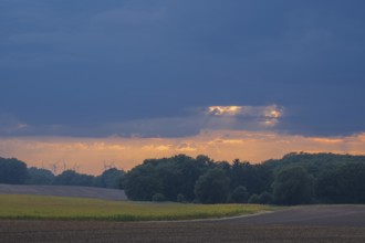 View over a field landscape where wind turbines can be seen behind trees in the rain and evening