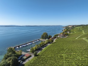 Aerial view, vineyard, vineyard slope at the historic Haltnau winery near Meersburg, on the left