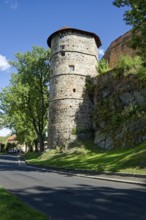 Mill tower, imperial palace of the Staufers in the Romanesque style, castle complex and