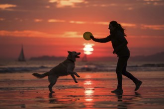 Silhouette of woman and dog playing with a disk on the beach at red sunset. Generative Ai, AI