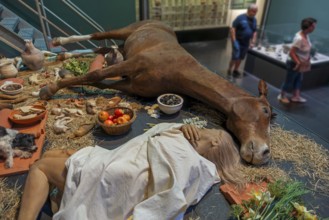 Replica of burial chamber beneath the tumulus of Grijpen at Het Toreke museum with Gallo-Roman