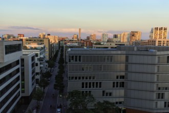 Skyline with modern office buildings, residential buildings, HafenCity, view from the