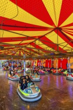 Bumper cars, Festwiese, Theresienwiese, Oktoberfest, Munich, Upper Bavaria, Bavaria, Germany