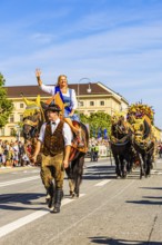 The Bräurosl Rosi Schuhegger on horseback, behind her the splendid team of the Hacker-Pschorr