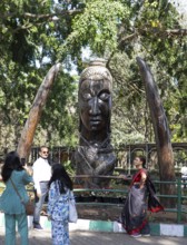 Buddha statue made from the wood of a 200-year-old Nilgiri tree in the Lalbagh Botanical Gardens,