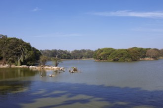 Lake in the Lalbagh Botanical Garden, Begaluru or Bangalore, Karnataka, India