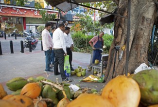 Indian man cutting a coconut, others watching, Begaluru or Bangalore, Karnataka, India