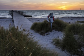 Wooden jetty to the sea at sunset with life buoy, surrounded by high grass bushes, Kobaek Strand,