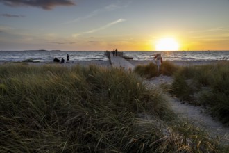 Beach with walkers, long pier jutting into the sea, sunny evening mood, Kobaek Strand, Sjaelland,