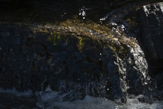 Water of a stream flowing over rocks, light reflections, Otroya or Otrøya island, Møre og Romsdal,