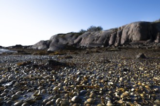 Pebble beach with shells and rocks in the background, Otroya or Otrøya island, Møre og Romsdal,