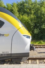 Front view of a train on the tracks, surrounded by green vegetation, battery Electric train with