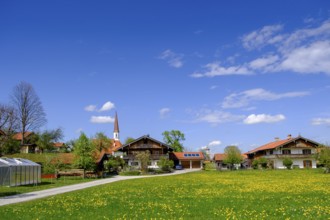 Arzbach, near Lenggries, Upper Bavaria, Bavaria, Germany