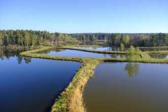 Tirschenreuther Teiche, Waldnaabaue, Große Teichpfanne, Vizinalradweg, near Tirschenreuth, Upper