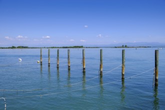 Grado Lagoon, Julian Friuli, Adriatic Sea, Italy