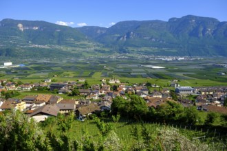 View over Tramin, South Tyrolean Wine Road, South Tyrol, Italy
