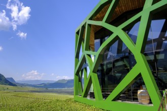 Tramin Winery, Tramin, Wine Route, South Tyrol, Italy