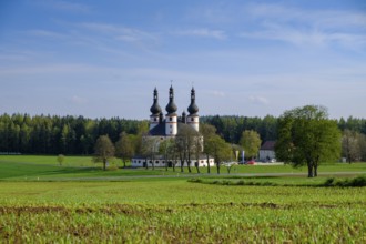 Pilgrimage church, Dreifaltigkeitskirche Kappl, near Waldsassen, Upper Palatinate, Bavaria, Germany