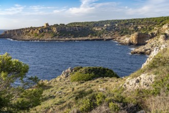 Landscape on the coast of the Porto Selvaggio nature reserve, Santa Caterina, Nardo, Apulia, Italy