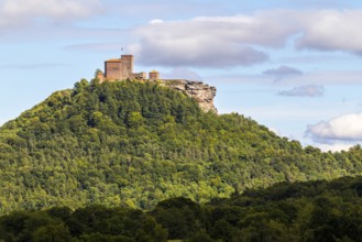 Brug Trifels, Annweiler, mixed forest, sandstone rock, Pfläzerwald, Rhineland-Palatinate, Germany