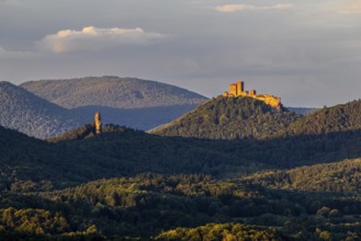View of Trifels Castle and Anebos Castle, mixed forest, Annweiler, Pfläzerwald,