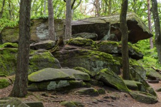 Boulders in the forest, red sandstone, sea of rocks, Kalmit, Maikammer, Pfläzerwald,