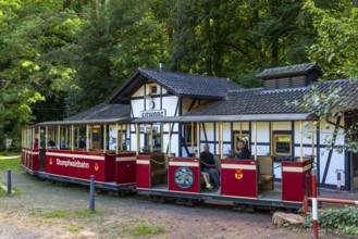 Swamp forest railway, historic railway, historic railway station, Eiswoog, Ramsen, Pfläzerwald,