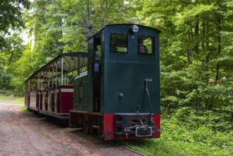 Swamp forest railway, historic railway, Eiswoog, Ramsen, Pfläzerwald, Rhineland-Palatinate, Germany