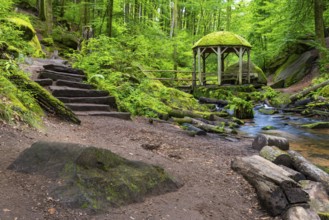 Stream, stone steps, pavilion, Karlstal Gorge, Trippstadt, Pfläzerwald, Rhineland-Palatinate,
