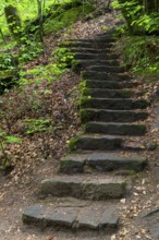 Stone steps on a slope, Karlstal Gorge, Trippstadt, Pfläzerwald, Rhineland-Palatinate, Germany