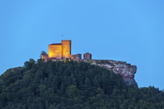 Brug Trifels at the blue hour, Annweiler, mixed forest, sandstone rock, Pfläzerwald,