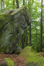 Boulders in the forest, red sandstone, sea of rocks, Kalmit, Maikammer, Pfläzerwald,