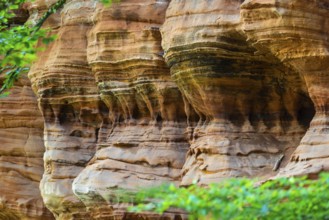 Old castle rock, sandstone rock, beech (Fagus), beech family (Fagaceae), Eppenbrunn, Pfläzerwald,
