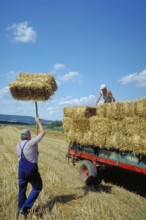 Hay harvest, farmers loading hay bales onto a wagon, Franconia, Bavaria, Germany