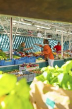 Market scene with lively exchange between customers and vendors at a colourful vegetable stand,