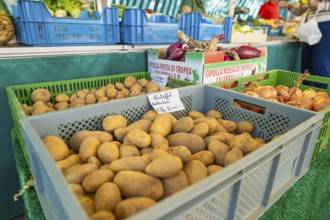 Market stall with crates full of potatoes and onions. Price label visible on one of the crates,