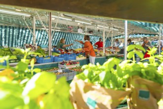 Customers talking to a saleswoman at a market stall, surrounded by fresh produce, Sindelfingen,