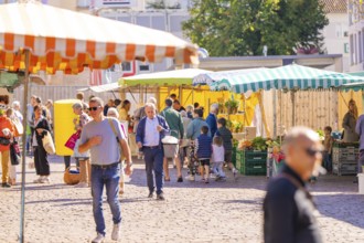 The market is full of people browsing the stalls with goods under colourful marquees, Sindelfingen,
