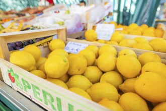Lemons in a wooden crate at a lively market, Sindelfingen, Böblingen district, Germany