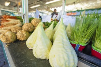 Kohlrabi and herbs on a market stall in fresh surroundings, Sindelfingen, Böblingen district,