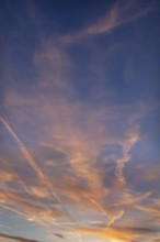 Contrails in the evening sky, Bavaria, Germany