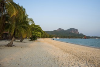 White sandy beach and coconut palms, sunset, Pearl Beach, Koh Mook, Trang Province, Southern