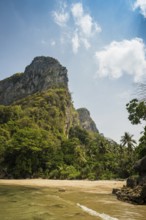 White sandy beach and coconut palms, Sabai Beach, Koh Mook, Trang Province, Southern Thailand,