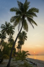 White sandy beach and coconut palms, sunrise, Pearl Beach, Koh Mook, Trang Province, Southern